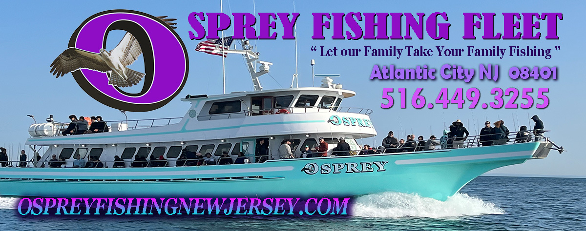 Welcome To Osprey Fishing New Jersey Gardners Basin 800 N New Hampshire Ave Atlantic City Nj 516 449 3255